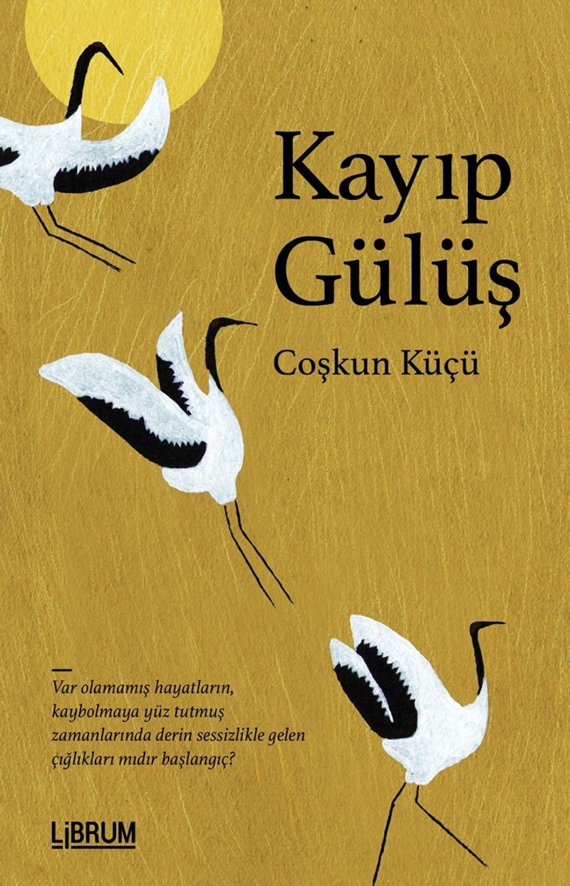 Kayıp Gülüş kitap kapağı