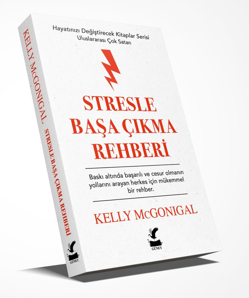 Stresle Başa Çıkma Rehberi Hayatınızı Değiştirecek Kitaplar Serisi kitap kapağı