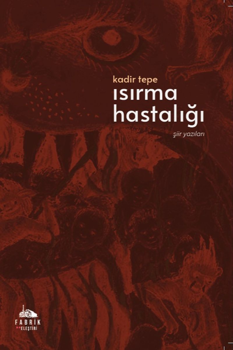 Isırma Hastalığı Şiir Yazıları kitap kapağı