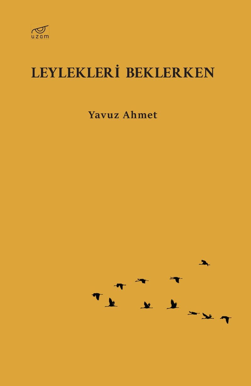 Leylekleri Beklerken kitap kapağı