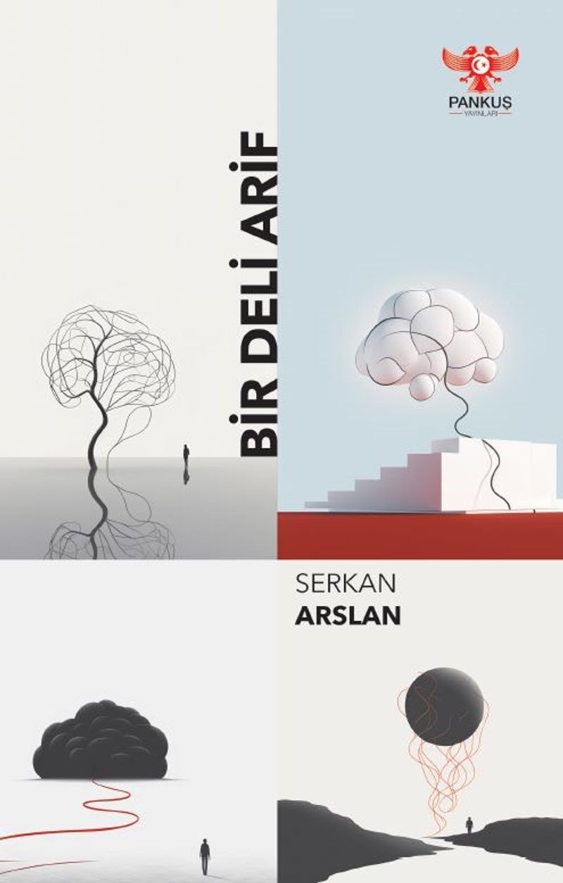 Bir Deli Arif kitap kapağı