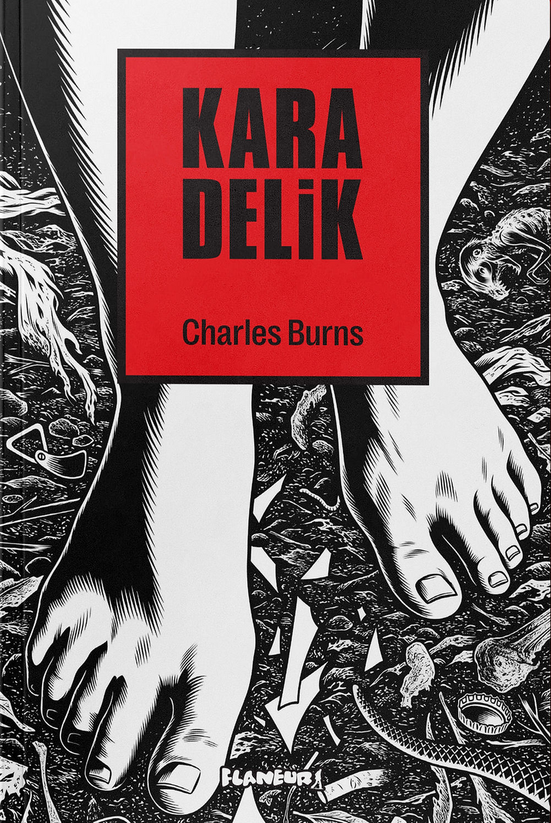 Kara Delik - Black Hole kitap kapağı