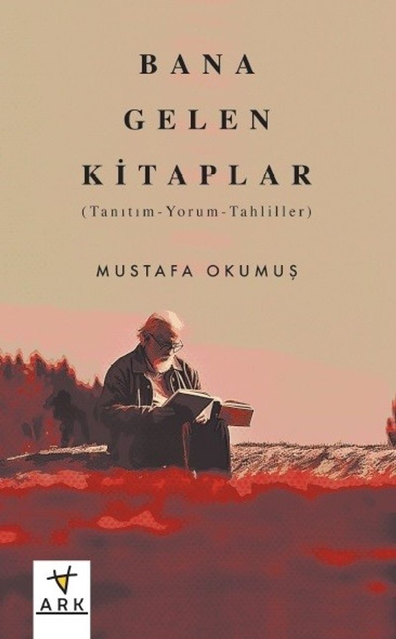 Bana Gelen Kitaplar (Tanıtım-Yorum-Tahliller) kitap kapağı