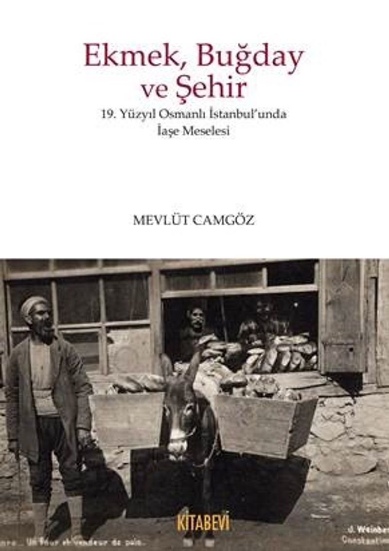 Ekmek Buğday ve Şehir kitap kapağı