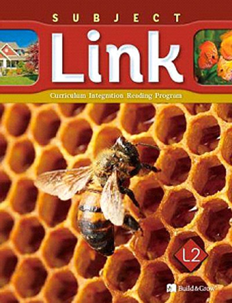 Subject Link L2 with Workbook +CD kitap kapağı