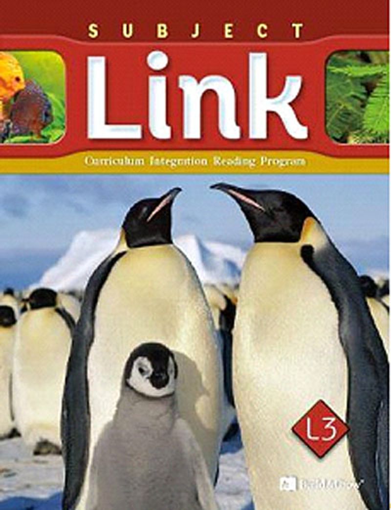 Subject Link L3 with Workbook +CD kitap kapağı