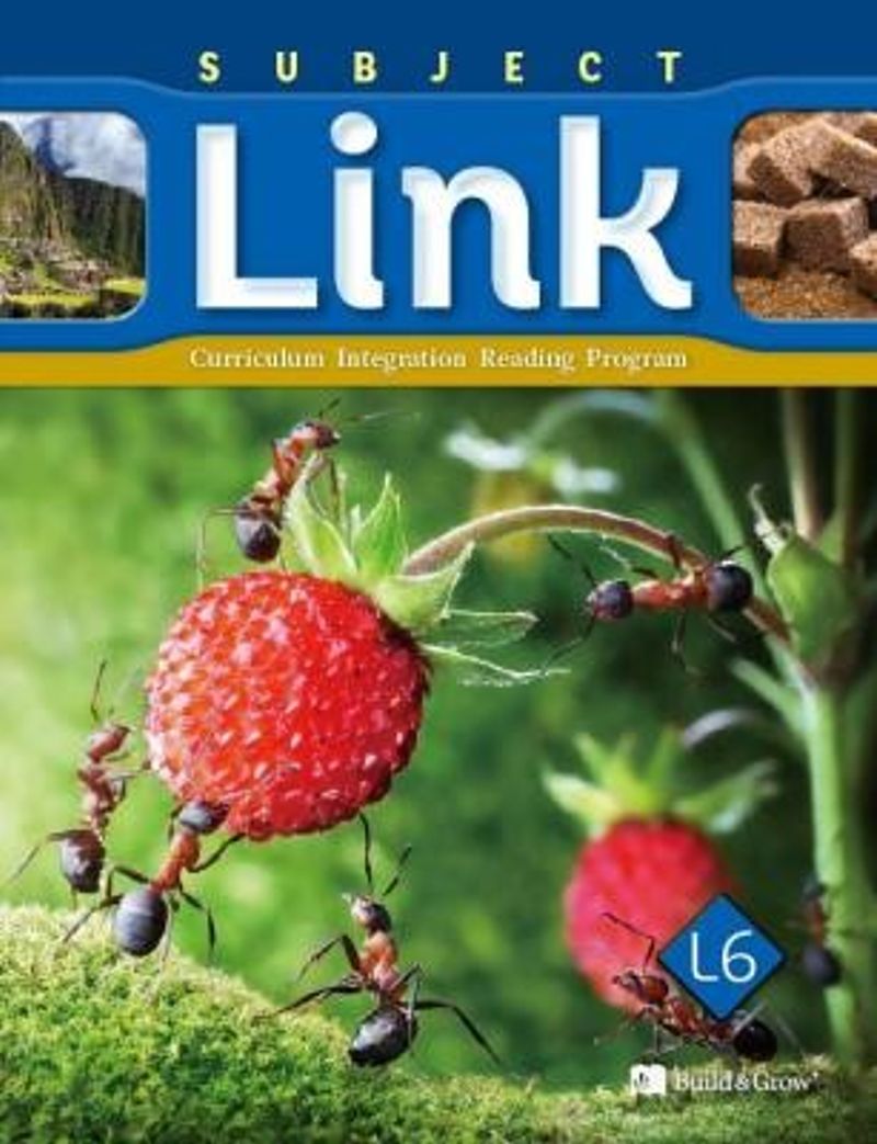 Subject Link L6 with Workbook +Cd kitap kapağı