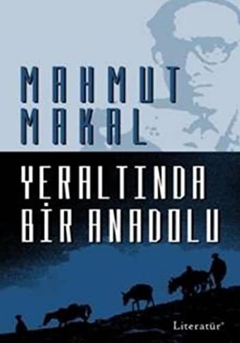 Yeraltında Bir Anadolu kitap kapağı