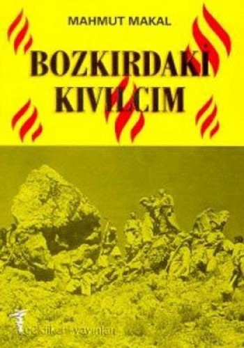 Bozkırdaki Kıvılcım Enstitülüler kitap kapağı