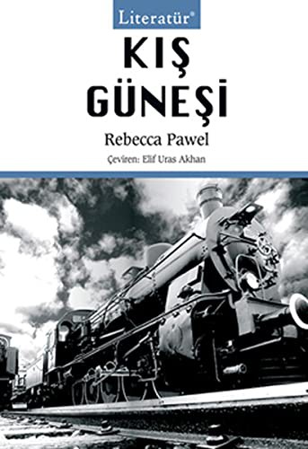 Kış Güneşi kitap kapağı