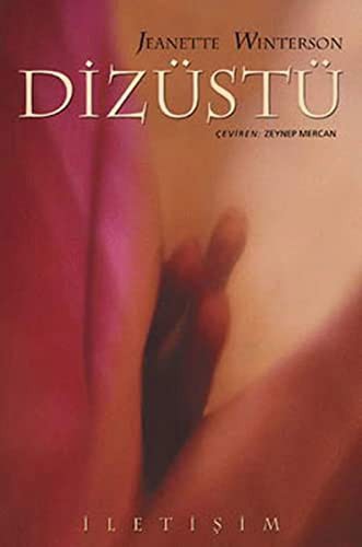 Dizüstü kitap kapağı