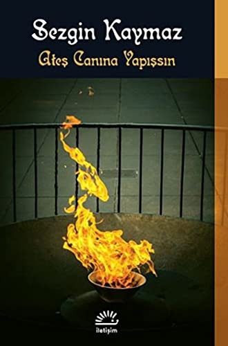 Ateş Canına Yapışsın kitap kapağı