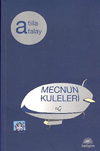 Mecnun Kuleleri kitap kapağı