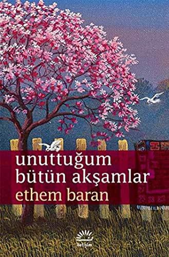 Unuttuğum Bütün Akşamlar kitap kapağı