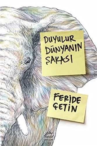 Duyulur Dünyanın Şakası kitap kapağı