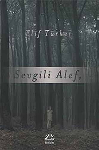 Sevgili Alef kitap kapağı