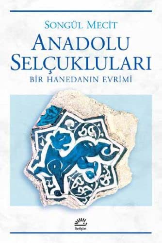 Anadolu Selçukluları & Bir Hanedanın Evrimi kitap kapağı