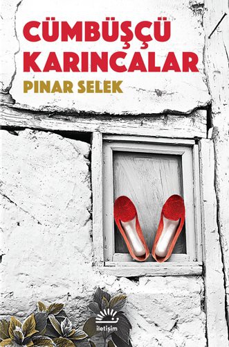 Cümbüşçü Karıncalar kitap kapağı