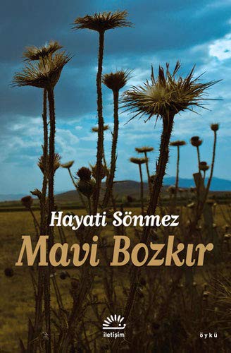 Mavi Bozkır kitap kapağı