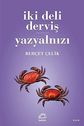 İki Deli Derviş - Yazyalnızı kitap kapağı
