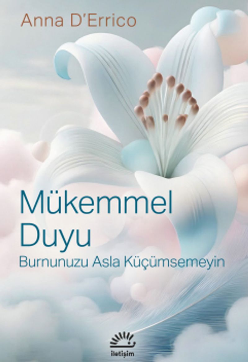 Mükemmel Duyu Burnunuzu Asla Küçümsemeyin kitap kapağı