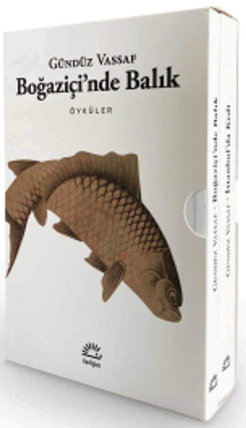 Boğaziçi'nde Balık - İstanbul'da Kedi (2 Kitap - Kutulu Set) kitap kapağı