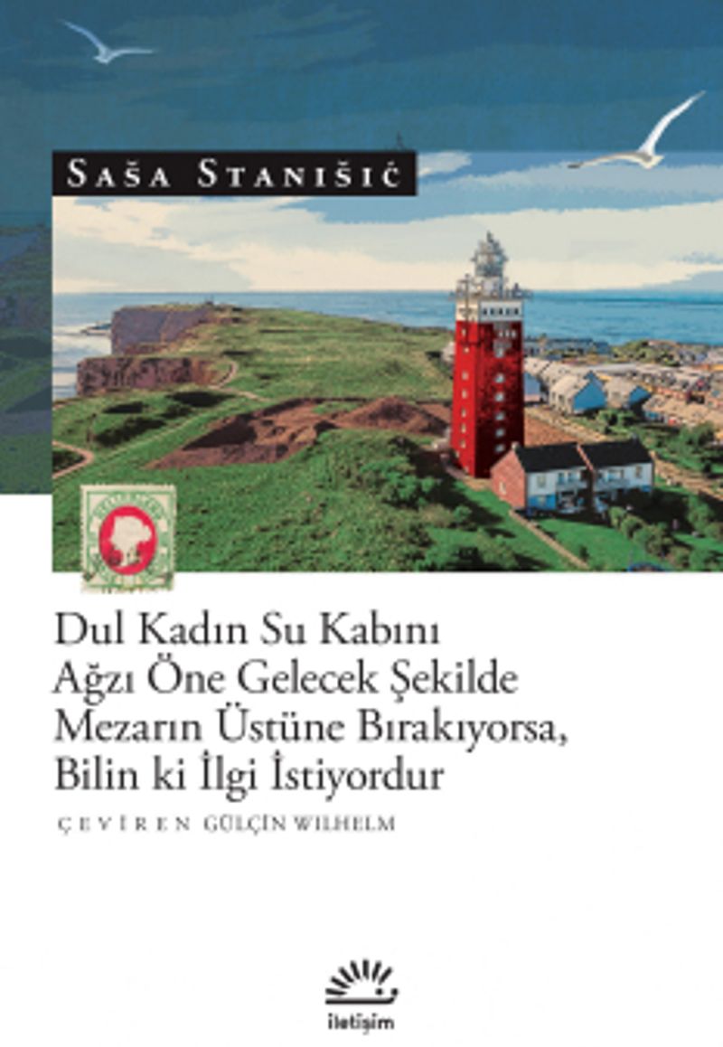 Dul Kadın Su Kabını Ağzı Öne Gelecek Şekilde Mezarın Üstüne Bırakıyorsa, Bilin Ki İlgi İstiyordur kitap kapağı