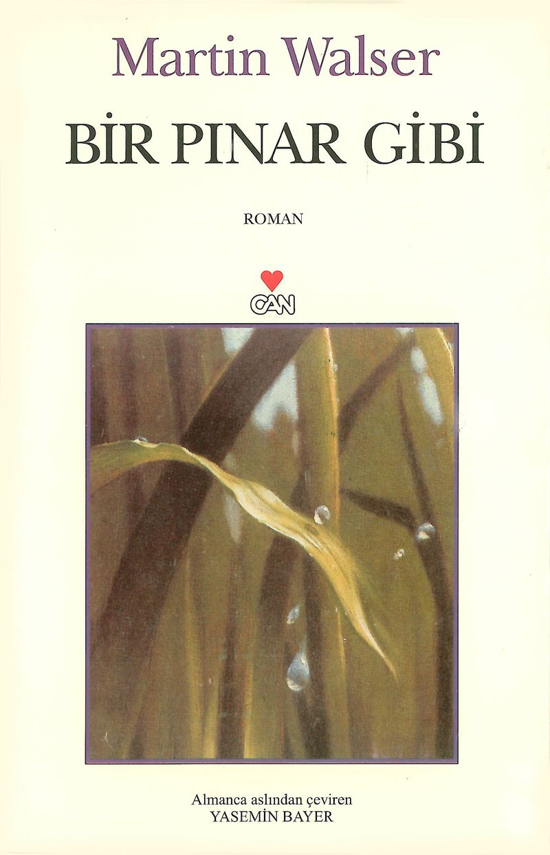 Bir Pınar Gibi kitap kapağı