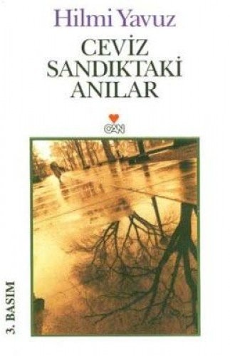 Ceviz Sandıktaki Anılar kitap kapağı