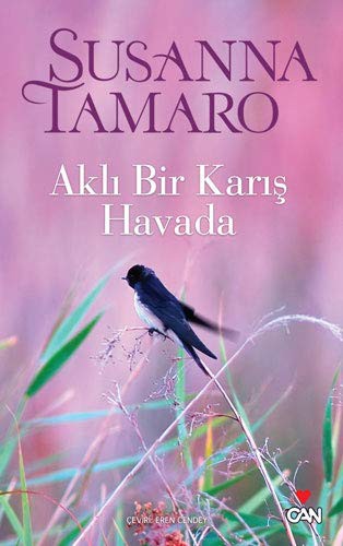 Aklı Bir Karış Havada kitap kapağı