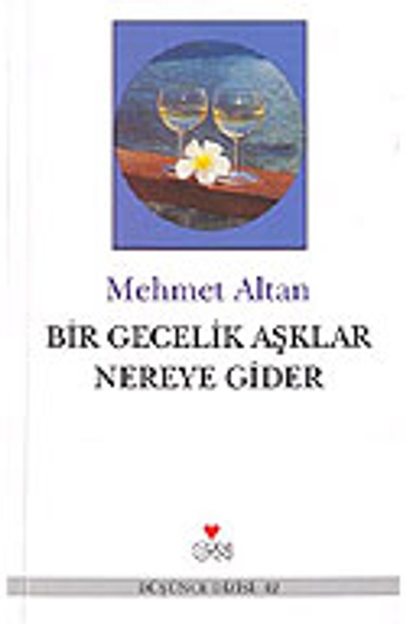 Bir Gecelik Aşklar Nereye Gider kitap kapağı