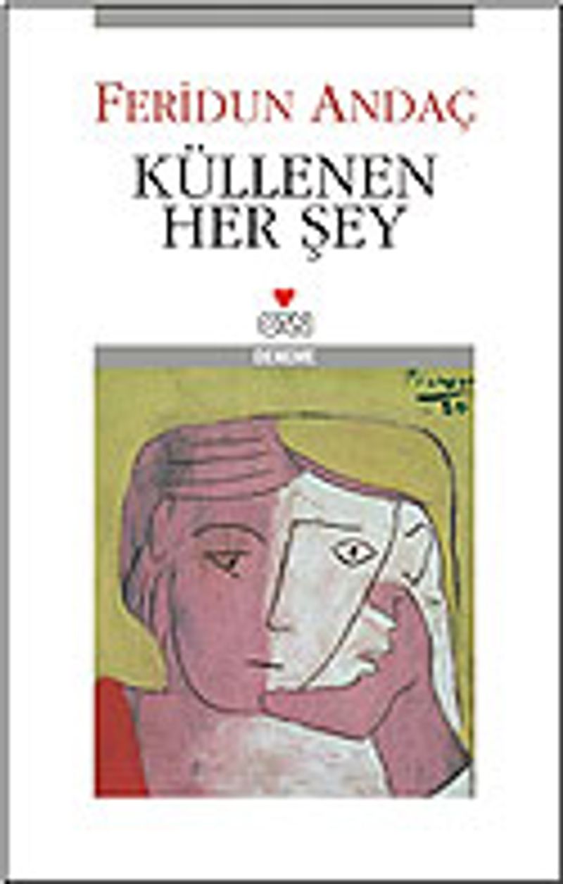 Küllenen Her Şey kitap kapağı