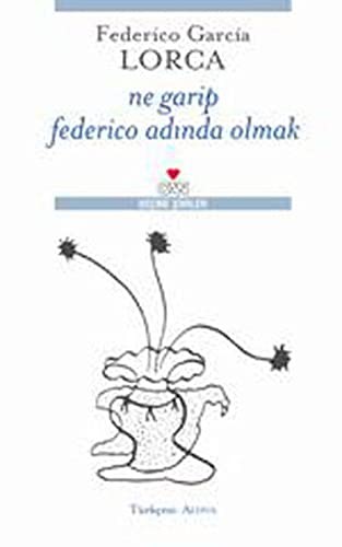Ne Garip Federico Adında Olmak kitap kapağı