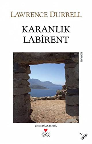Karanlık Labirent kitap kapağı
