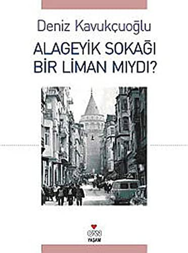 Alageyik Sokağı Bir Liman mıydı? kitap kapağı