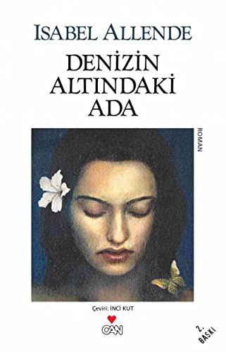 Denizin Altındaki Ada kitap kapağı