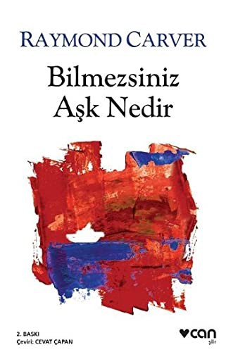 Bilmezsiniz Aşk Nedir kitap kapağı