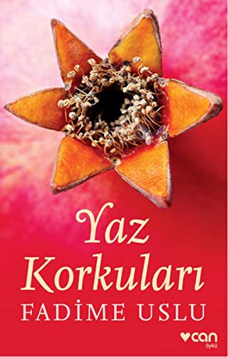 Yaz Korkuları kitap kapağı