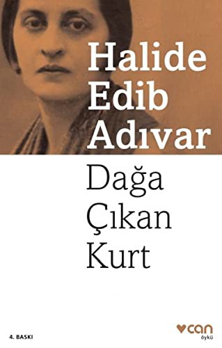 Dağa Çıkan Kurt kitap kapağı