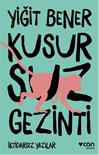 Kusursuz Gezinti kitap kapağı