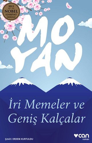 İri Memeler ve Geniş Kalçalar kitap kapağı