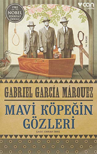 Mavi Köpeğin Gözleri kitap kapağı