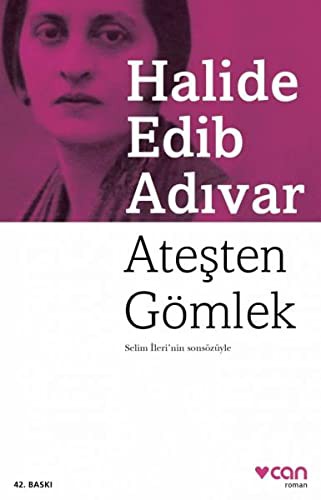 Ateşten Gömlek kitap kapağı