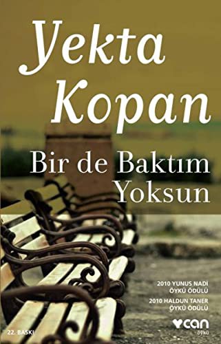Bir de Baktım Yoksun kitap kapağı
