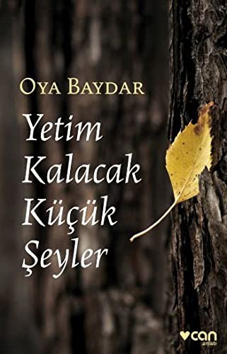 Yetim Kalacak Küçük Şeyler kitap kapağı