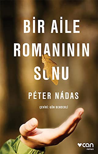 Bir Aile Romanının Sonu kitap kapağı