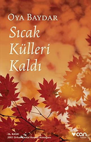 Sıcak Külleri Kaldı (Ciltsiz) kitap kapağı
