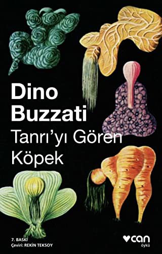 Tanrıyı Gören Köpek kitap kapağı