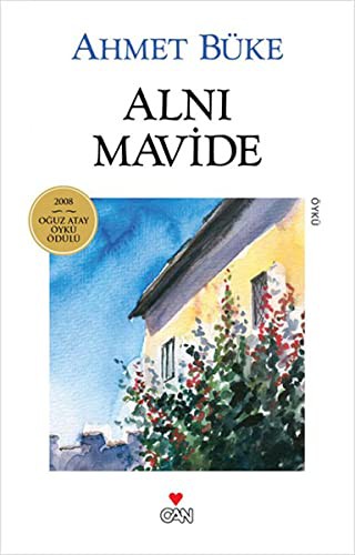 Alnı Mavide kitap kapağı