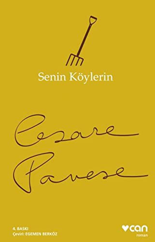 Senin Köylerin kitap kapağı